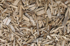biomass boilers Llanvaches